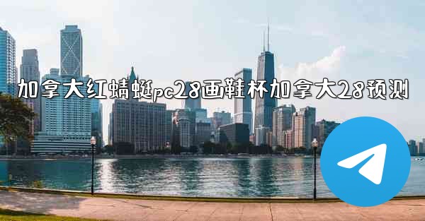 加拿大红蜻蜓pc28画鞋杯加拿大28预测