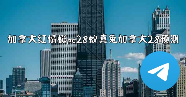 加拿大红蜻蜓pc28蚁真兔加拿大28预测