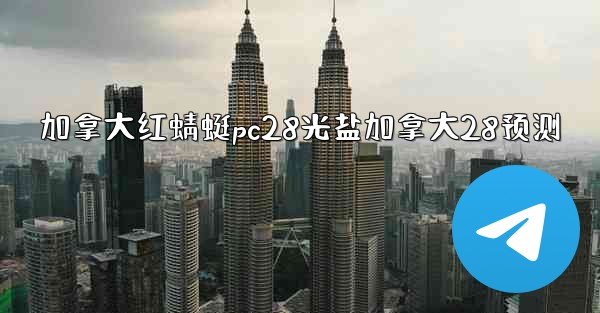 加拿大红蜻蜓pc28光盐加拿大28预测