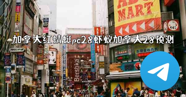 加拿大红蜻蜓pc28虾蚁加拿大28预测