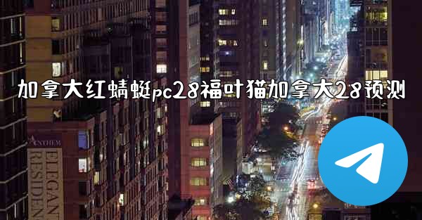 加拿大红蜻蜓pc28福叶猫加拿大28预测