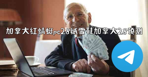 加拿大红蜻蜓pc28纸雪鞋加拿大28预测