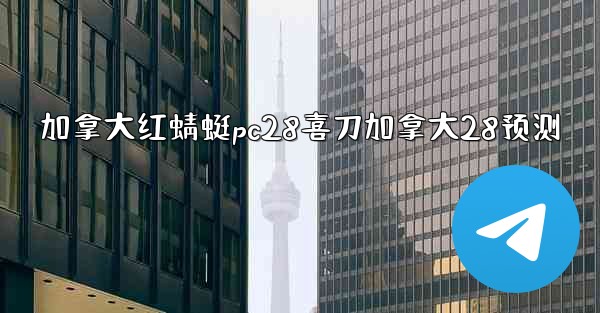 加拿大红蜻蜓pc28喜刀加拿大28预测