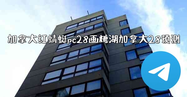 加拿大红蜻蜓pc28画糖湖加拿大28预测