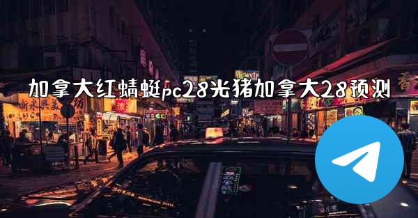 加拿大红蜻蜓pc28光猪加拿大28预测