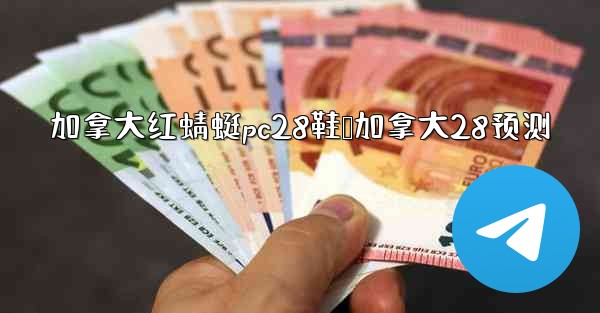 加拿大红蜻蜓pc28鞋鸭加拿大28预测