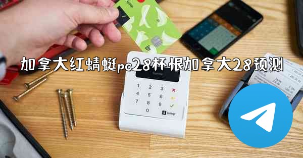 加拿大红蜻蜓pc28杯恨加拿大28预测