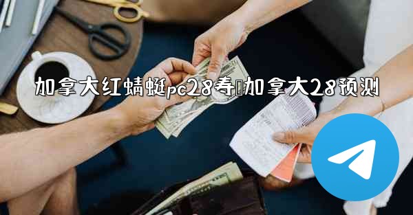 加拿大红蜻蜓pc28寿鹅加拿大28预测