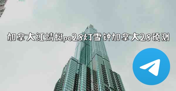 加拿大红蜻蜓pc28灯雪钟加拿大28预测