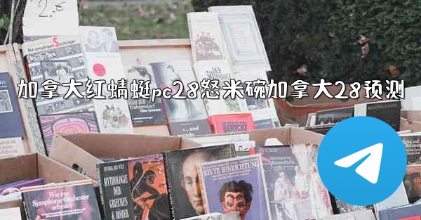 加拿大红蜻蜓pc28怒米碗加拿大28预测