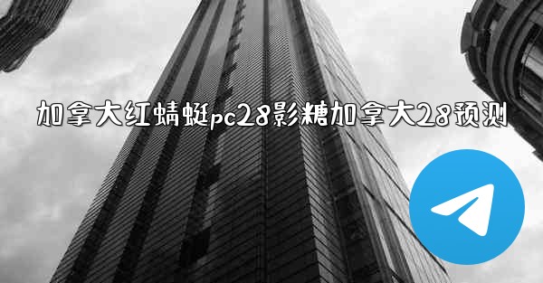 加拿大红蜻蜓pc28影糖加拿大28预测