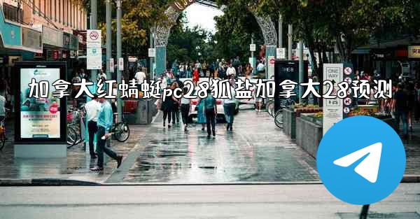 加拿大红蜻蜓pc28狐盐加拿大28预测