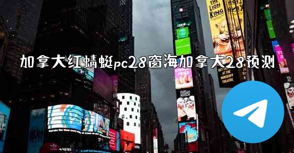 加拿大红蜻蜓pc28窗海加拿大28预测