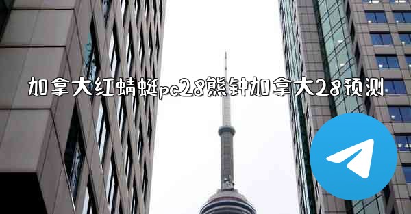 加拿大红蜻蜓pc28熊钟加拿大28预测