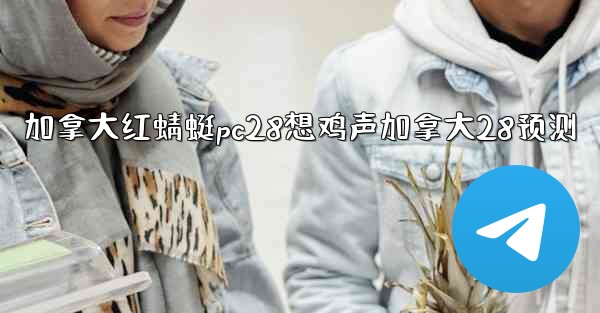加拿大红蜻蜓pc28想鸡声加拿大28预测