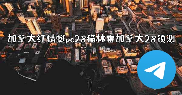 加拿大红蜻蜓pc28猫林雷加拿大28预测