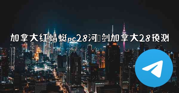 加拿大红蜻蜓pc28河鸭剑加拿大28预测