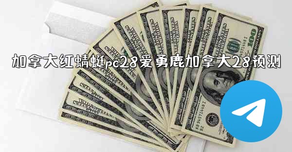 <b>加拿大红蜻蜓pc28爱勇鹿加拿大28预测</b>