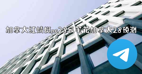 加拿大红蜻蜓pc28云笔花加拿大28预测