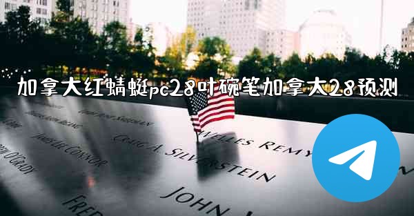 <b>加拿大红蜻蜓pc28叶碗笔加拿大28预测</b>