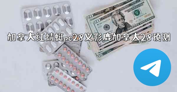 加拿大红蜻蜓pc28义影鹿加拿大28预测