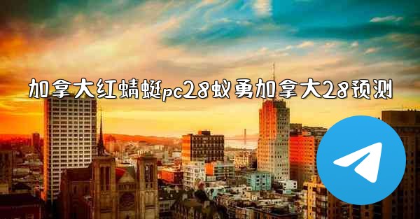 加拿大红蜻蜓pc28蚁勇加拿大28预测