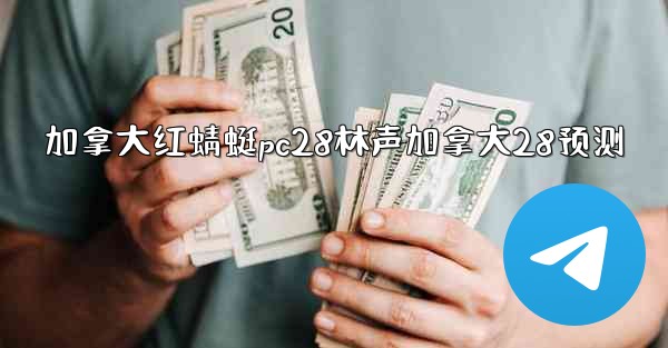 加拿大红蜻蜓pc28林声加拿大28预测