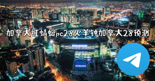 加拿大红蜻蜓pc28火羊钟加拿大28预测