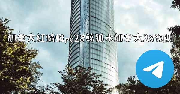 加拿大红蜻蜓pc28鲸狐水加拿大28预测