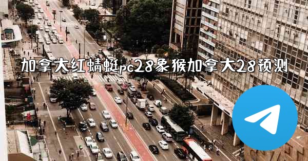 加拿大红蜻蜓pc28象猴加拿大28预测