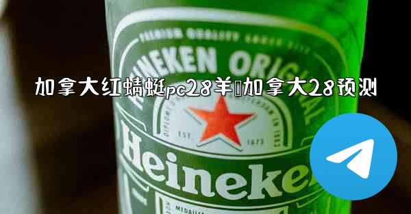 加拿大红蜻蜓pc28羊鸭加拿大28预测