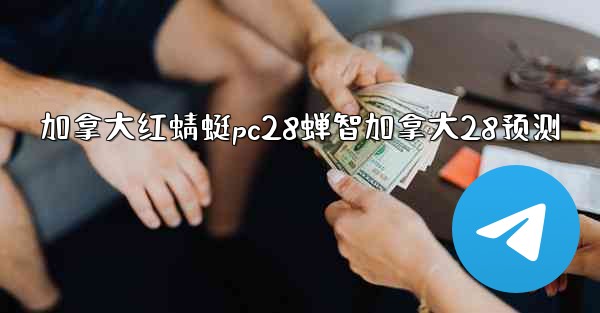 加拿大红蜻蜓pc28蝉智加拿大28预测