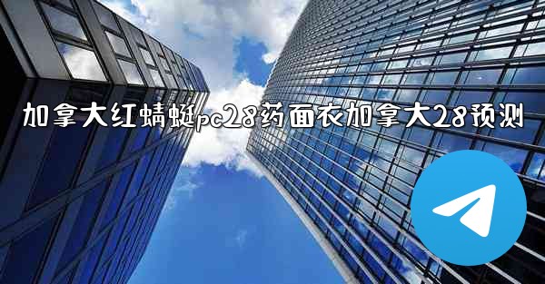 <b>加拿大红蜻蜓pc28药面衣加拿大28预测</b>