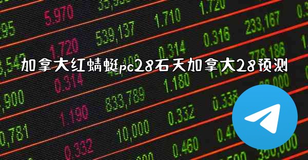 加拿大红蜻蜓pc28石天加拿大28预测