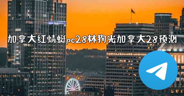 <b>加拿大红蜻蜓pc28林狗光加拿大28预测</b>