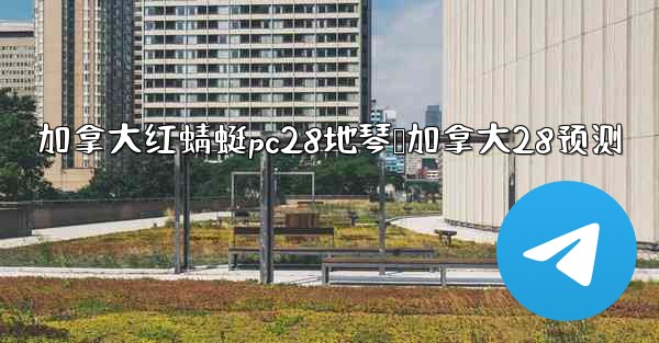 加拿大红蜻蜓pc28地琴鸭加拿大28预测