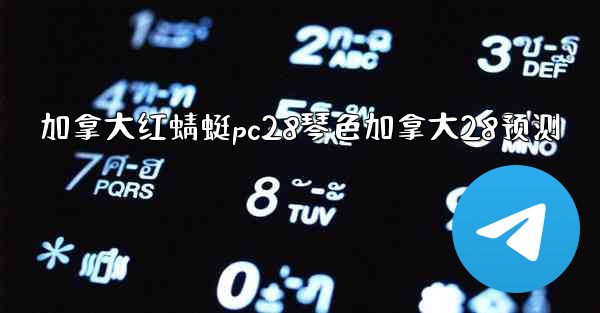 加拿大红蜻蜓pc28琴色加拿大28预测