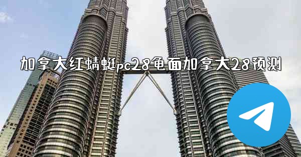 加拿大红蜻蜓pc28龟面加拿大28预测