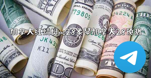 加拿大红蜻蜓pc28象琴加拿大28预测