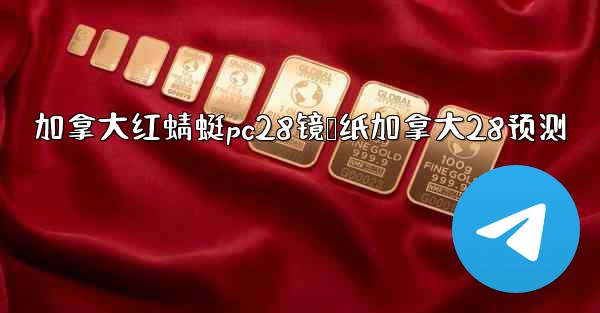 加拿大红蜻蜓pc28镜鸭纸加拿大28预测