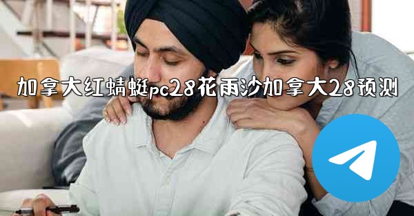 加拿大红蜻蜓pc28花雨沙加拿大28预测