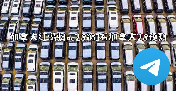 加拿大红蜻蜓pc28窗鸭石加拿大28预测