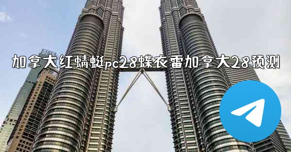 加拿大红蜻蜓pc28蝶衣雷加拿大28预测