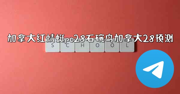 加拿大红蜻蜓pc28石碗鸟加拿大28预测