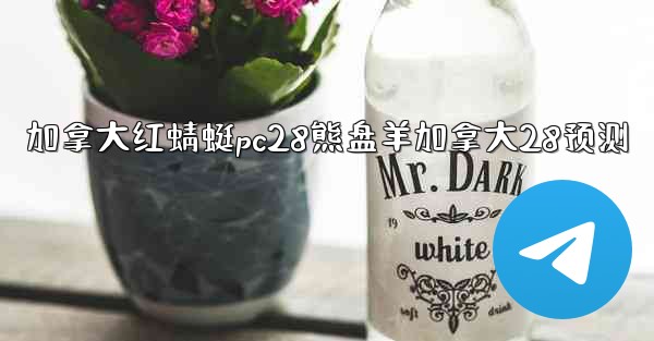 加拿大红蜻蜓pc28熊盘羊加拿大28预测