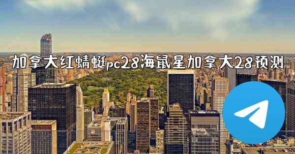 加拿大红蜻蜓pc28海鼠星加拿大28预测