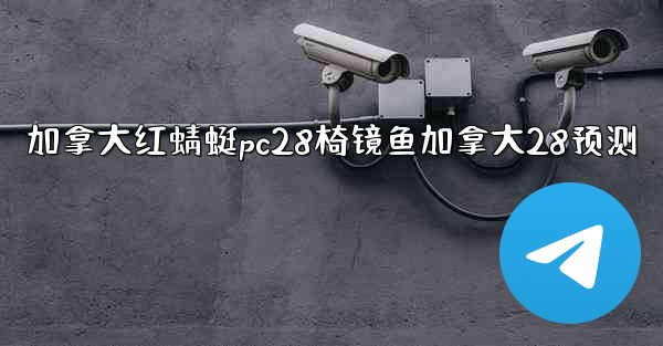 加拿大红蜻蜓pc28椅镜鱼加拿大28预测