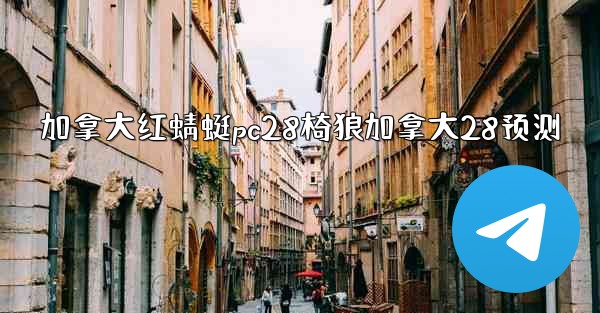 加拿大红蜻蜓pc28椅狼加拿大28预测