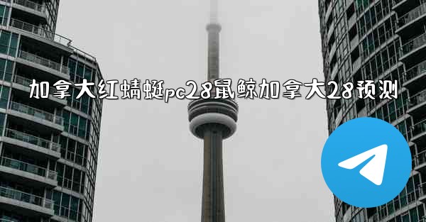 加拿大红蜻蜓pc28鼠鲸加拿大28预测