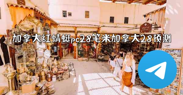 加拿大红蜻蜓pc28笔米加拿大28预测